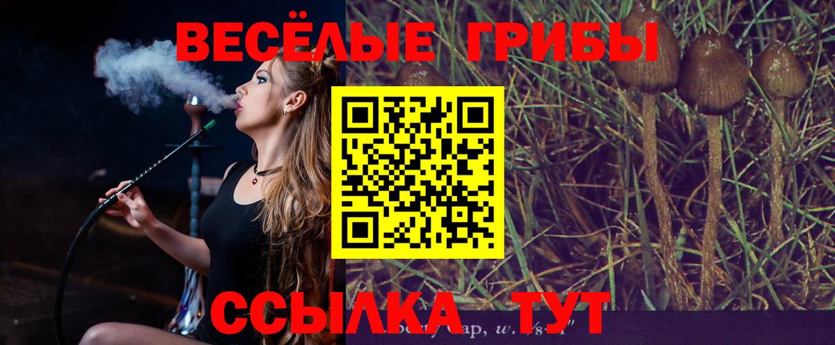 Галлюциногенные грибы мухоморы Гай