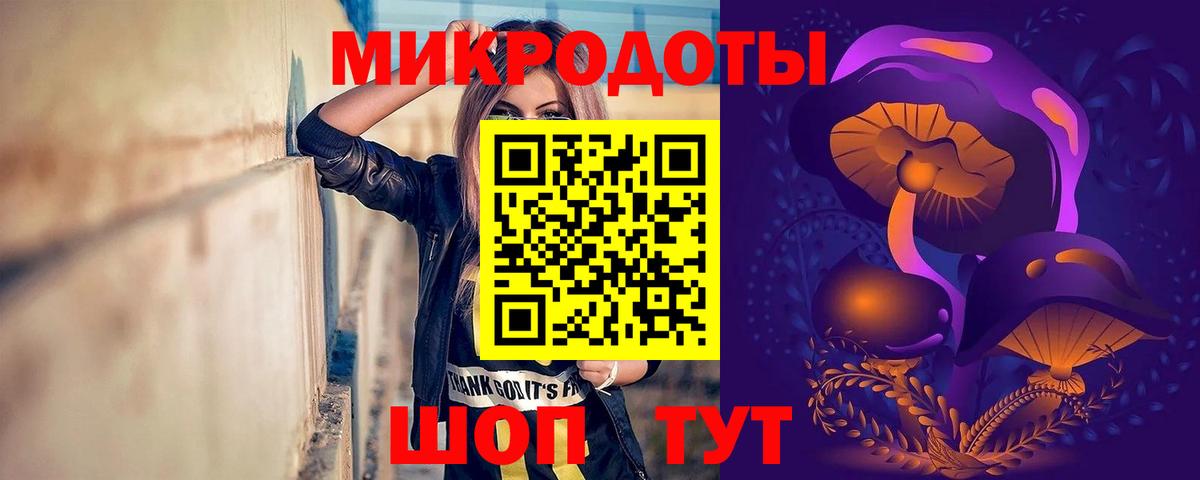 Галлюциногенные грибы Psilocybine cubensis  Вход с VPN  Гай 